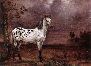 The Spotted Horse af, POTTER, Paulus